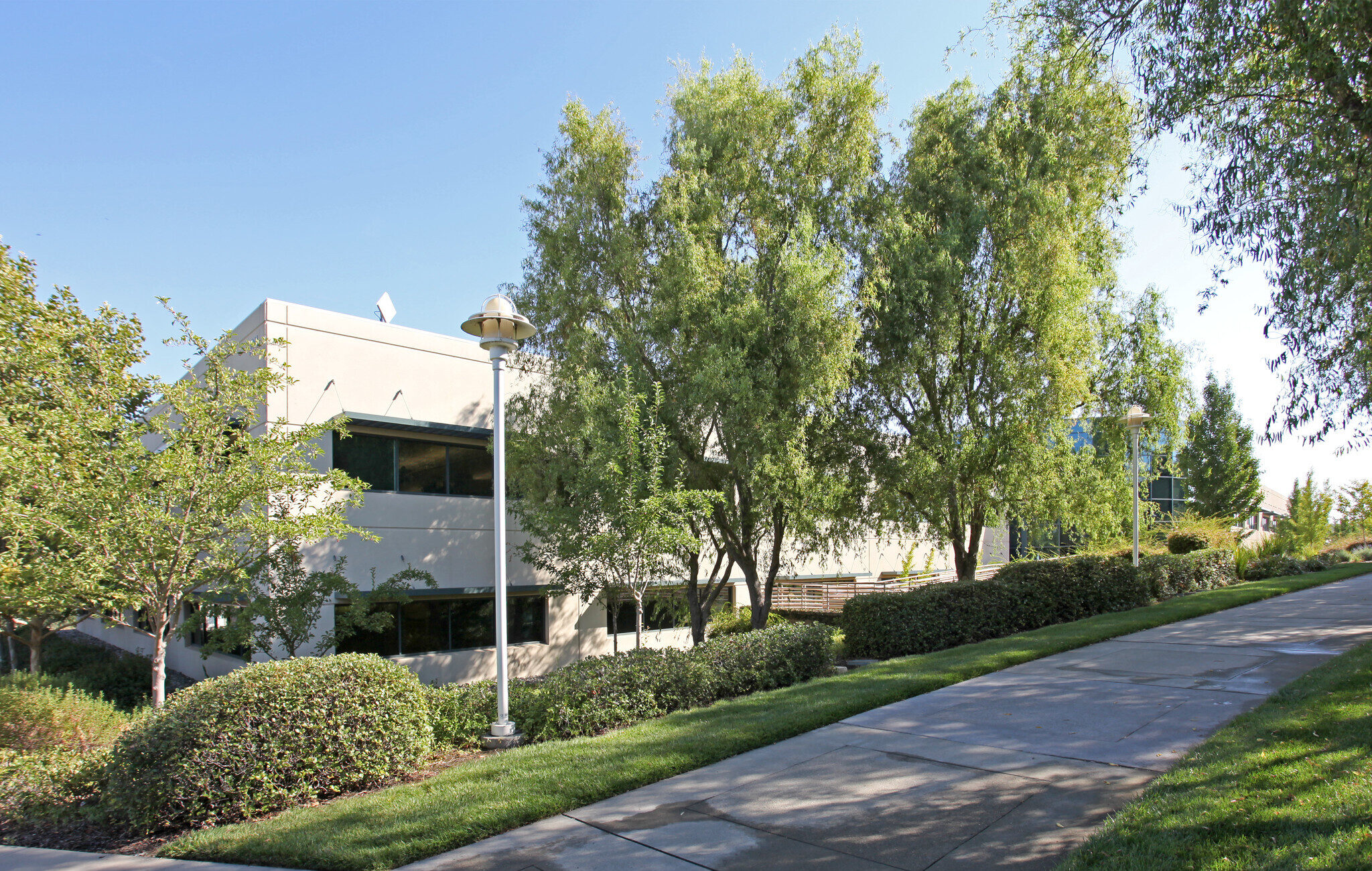 image-e1595275055198